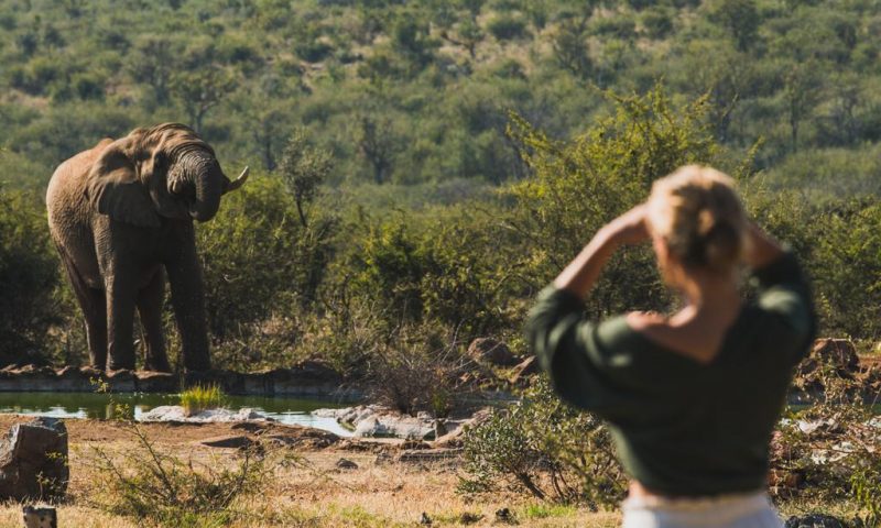 Rhulani Safari Lodge