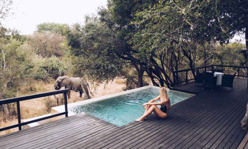 Royal Malewane Lodge, Mpumalanga - South Africa