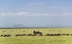 Ol Donyo Lodge