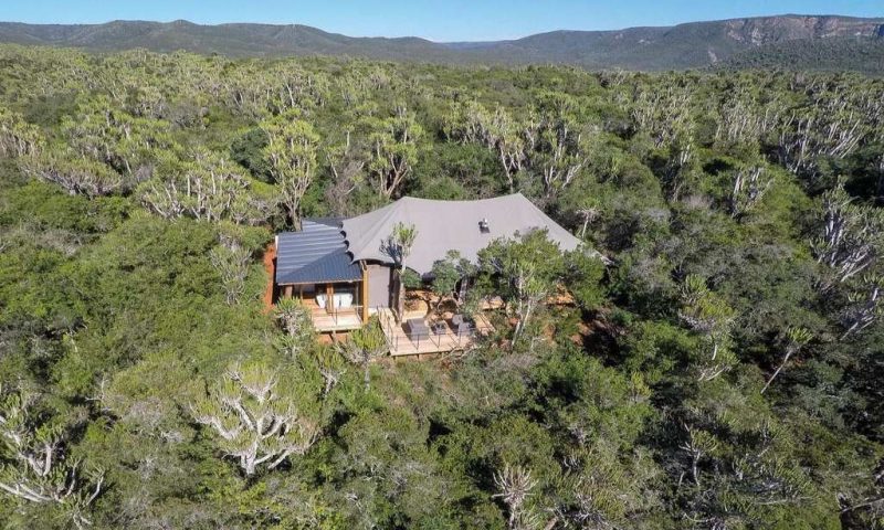 Kariega Game Reserve Settlers Drift