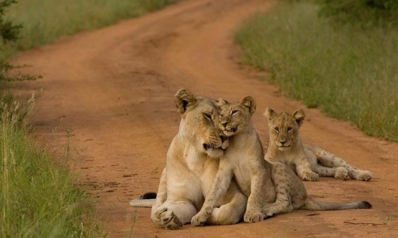 Etali Safari Lodge