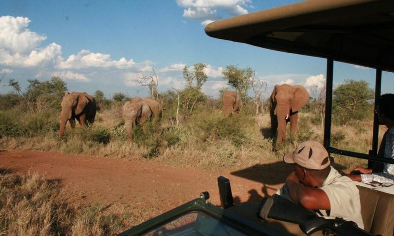 Etali Safari Lodge