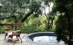 Londolozi Varty Camp