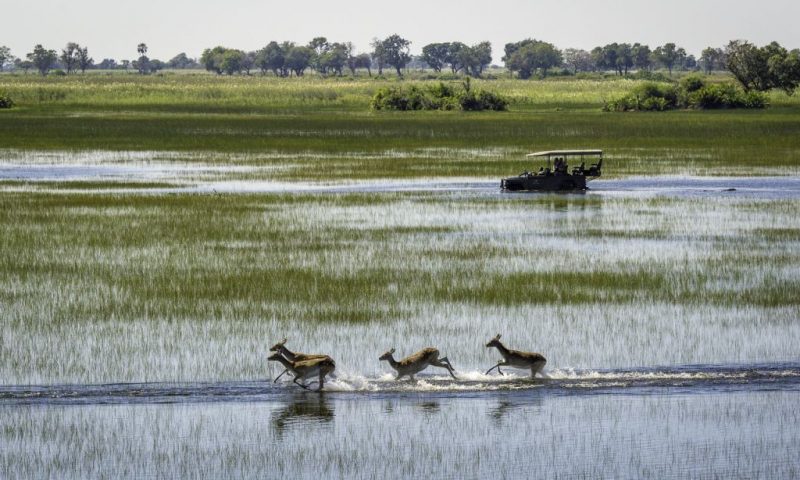 Mombo Camp Botswana