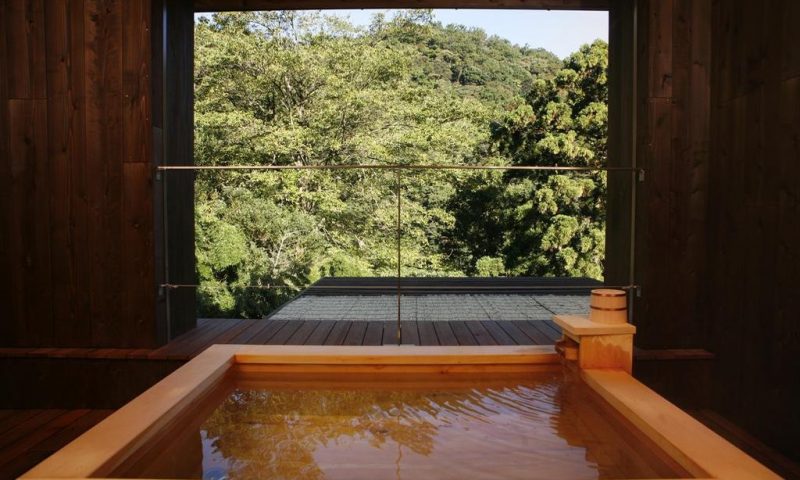 Ryokan Seikanso Nara - Japan