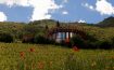 Clos Apalta Residence - Chile