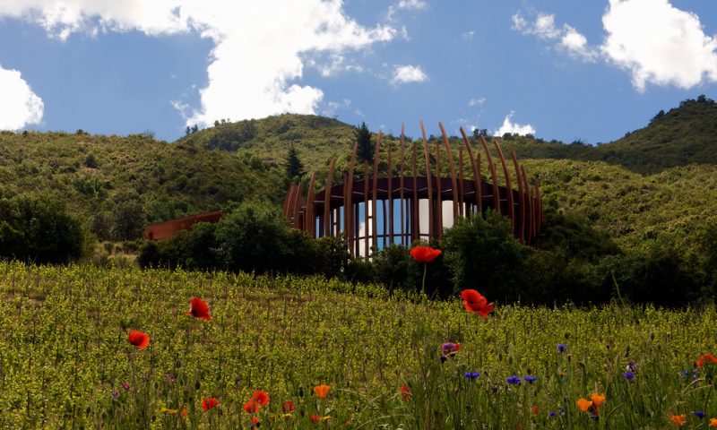 Clos Apalta Residence - Chile