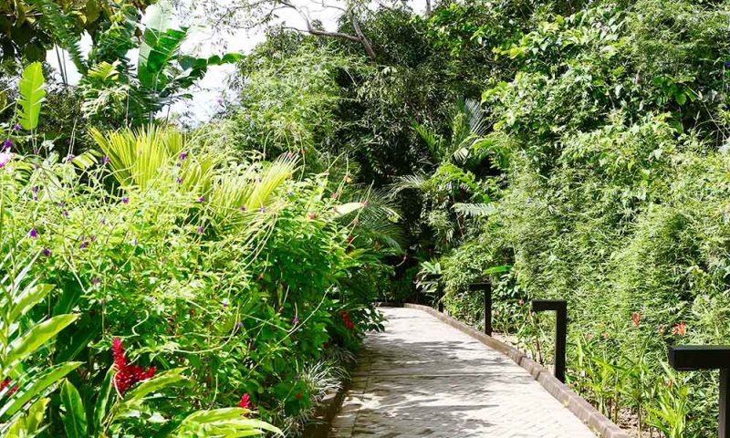 Kura Design Villas - Costa Rica