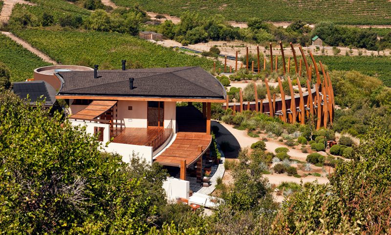 Clos Apalta Residence - Chile