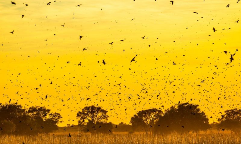Estancia El Colibri Cordoba - Argentina