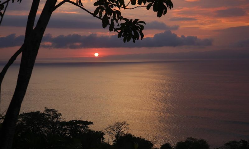 Lapa Rios Rainforest Lodge - Costa Rica