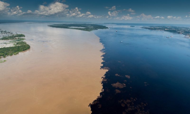 Juma Amazon Lodge - Brazil