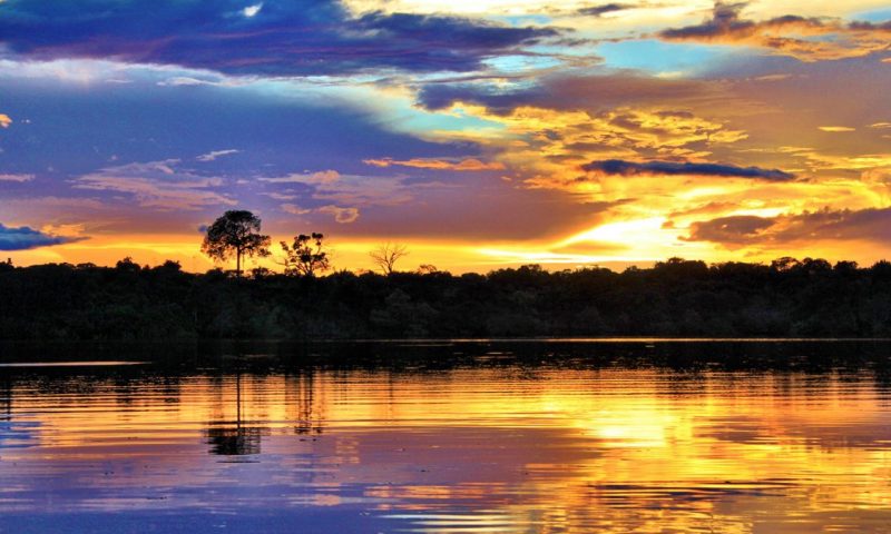 Juma Amazon Lodge - Brazil