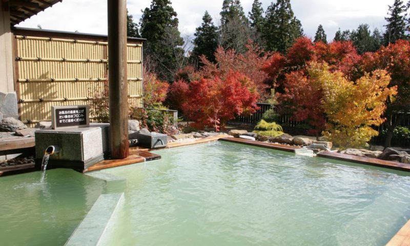 Ryokan Seifutei Fukushima - Japan