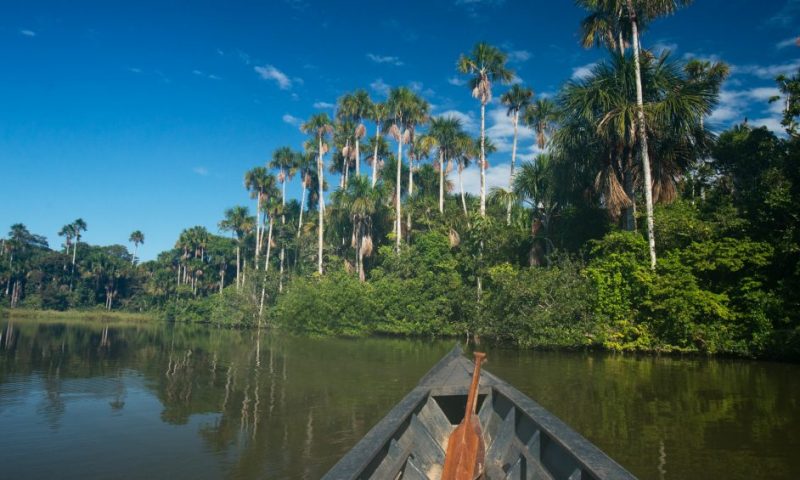 Inkaterra Reserva Amazonica - Peru