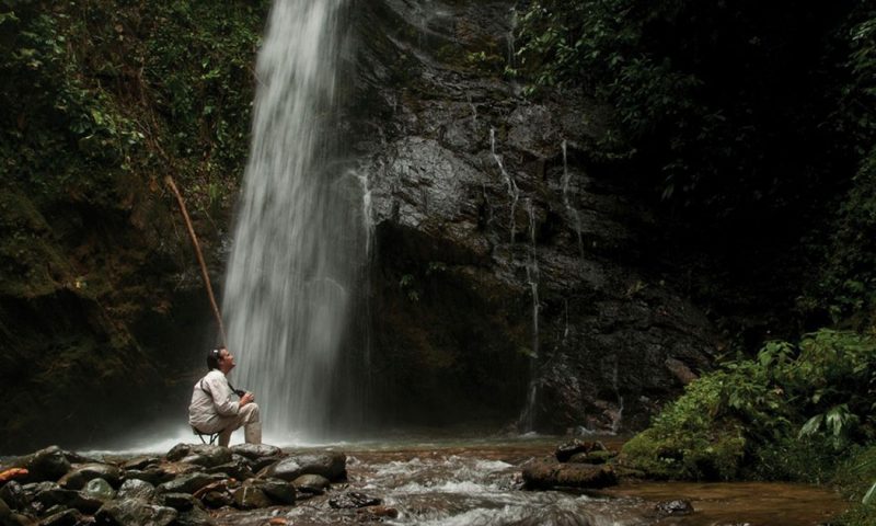 Mashpi Lodge - Ecuador