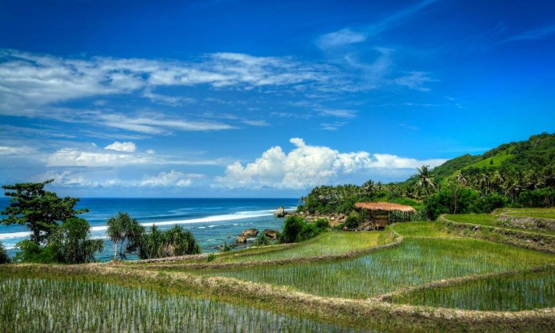 Nihi Sumba - Indonesia