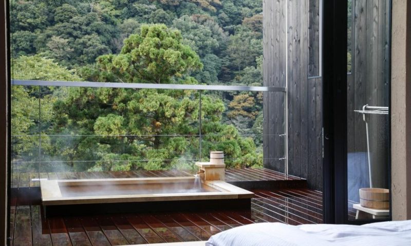 Ryokan Seikanso Nara - Japan