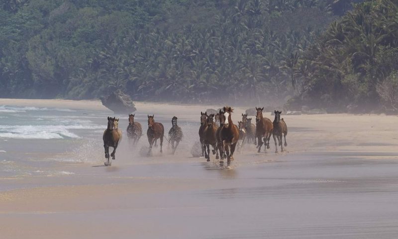 Nihi Sumba - Indonesia