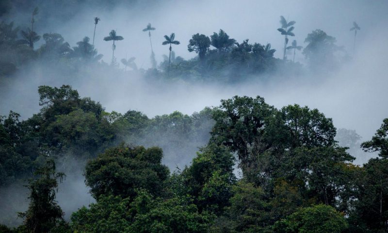 Mashpi Lodge - Ecuador