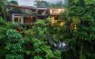 Mashpi Lodge - Ecuador