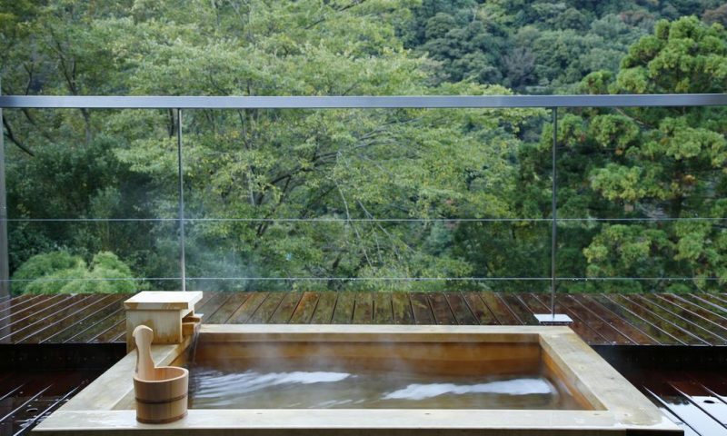 Ryokan Seikanso Nara - Japan