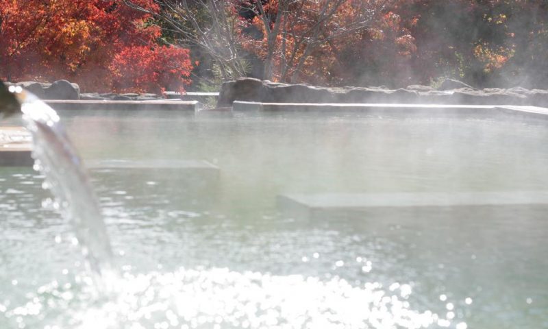 Ryokan Seifutei Fukushima - Japan