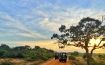 Wild Coast Tented Lodge - Sri Lanka