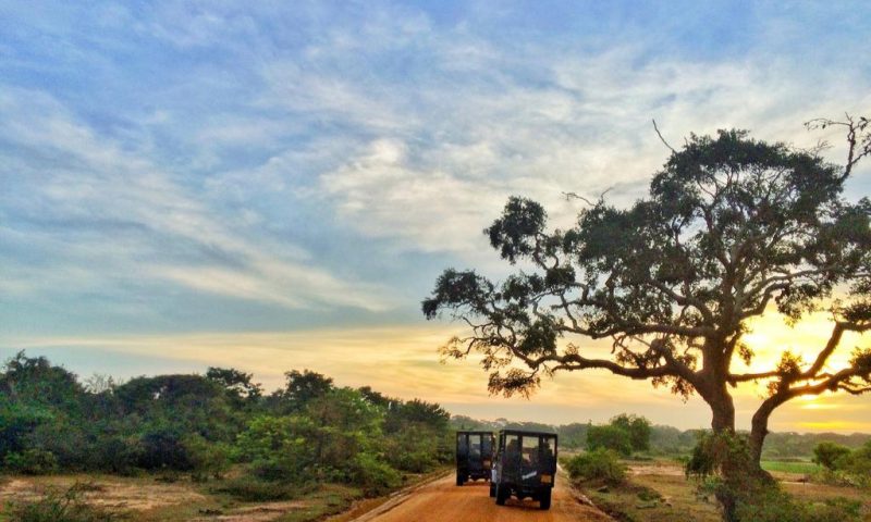 Wild Coast Tented Lodge - Sri Lanka