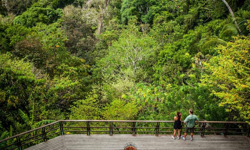 Lapa Rios Rainforest Lodge - Costa Rica