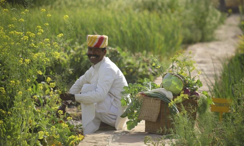 Sujan The Serai Jaisalmer - India