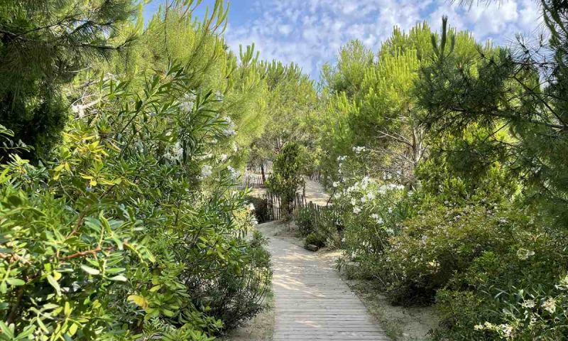 Hôtel Plage Palace & Spa, Languedoc Roussillion - France