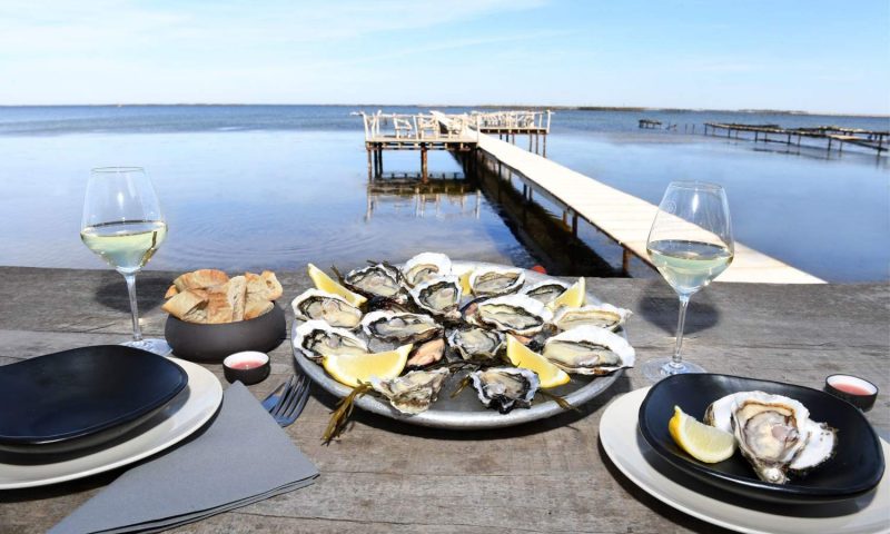 Domaine Tarbouriech Marseillan, Languedoc Roussillion - France