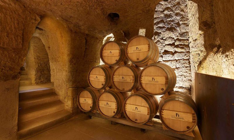 Palacio Tondon Brinas, La Rioja - Spain