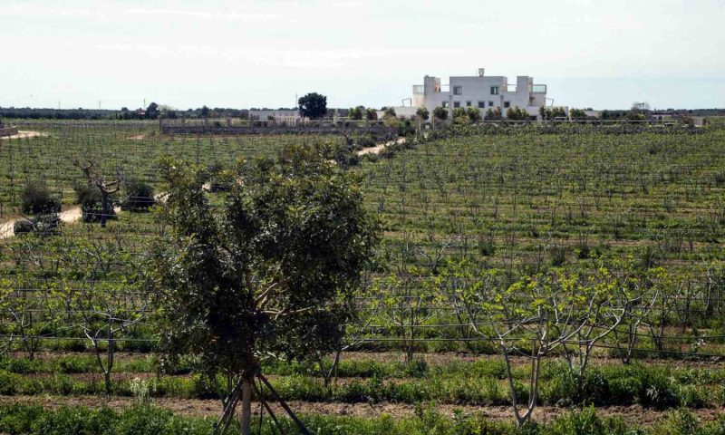 Tenuta Furnirussi Carpignano, Puglia - Italy