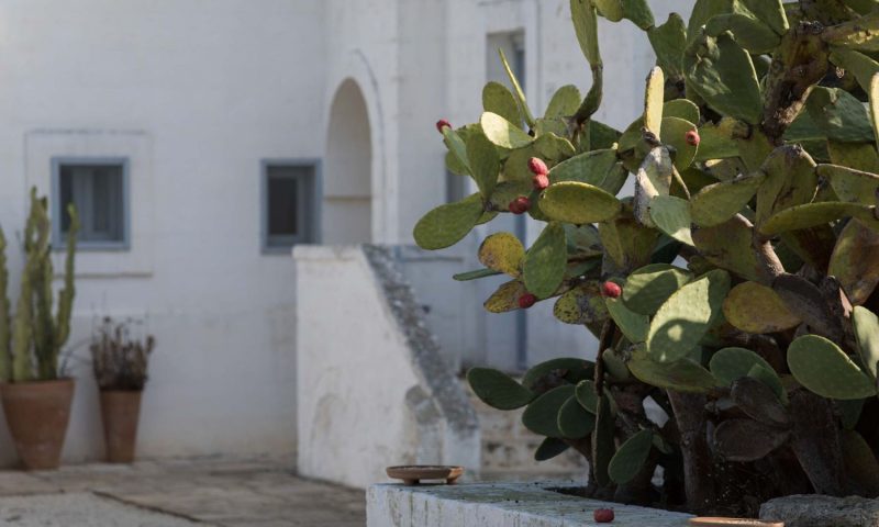 Masseria Cimino Fasano, Puglia - Italy