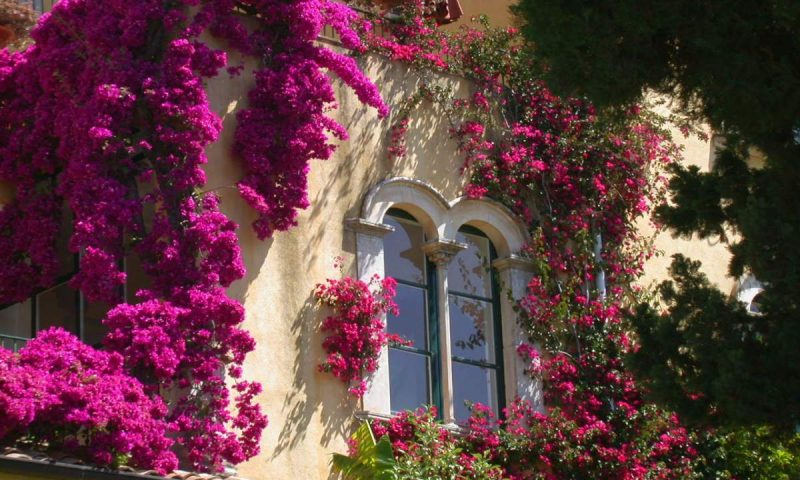Villa Belvedere Taormina, Sicily - Italy