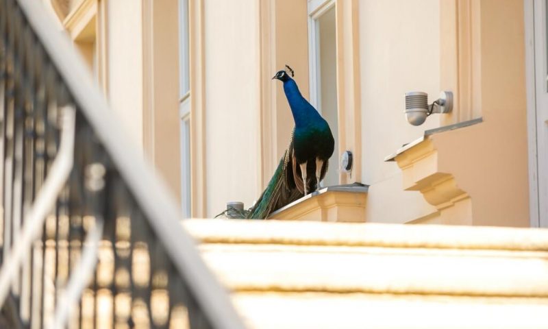 The Grand Mark Prague - Czech Republic
