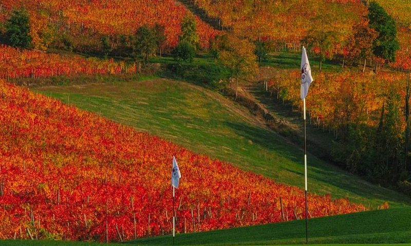 Reva Resort Monforte D