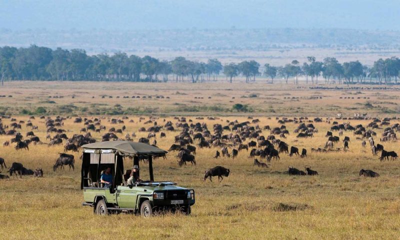 Mara Plains Camp - Kenya