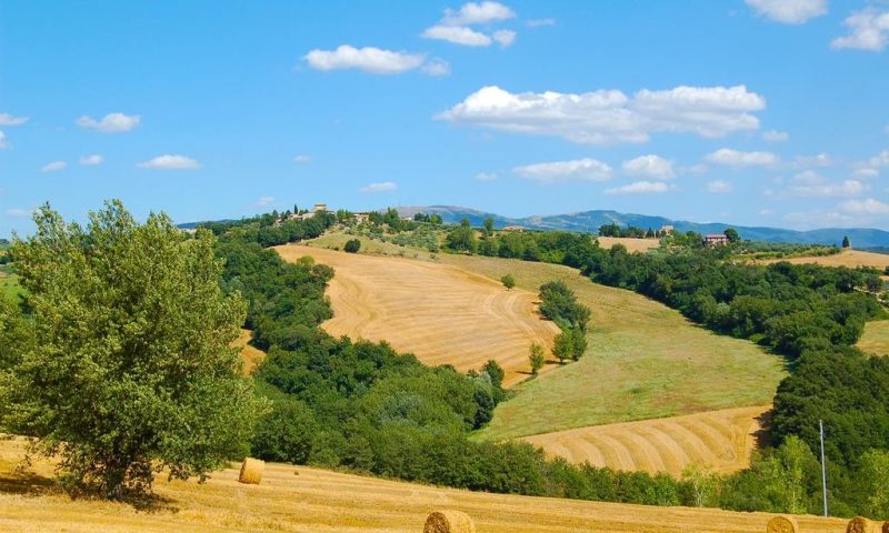Agriturismo Casale Dei Frontini Todi, Umbria - Italy
