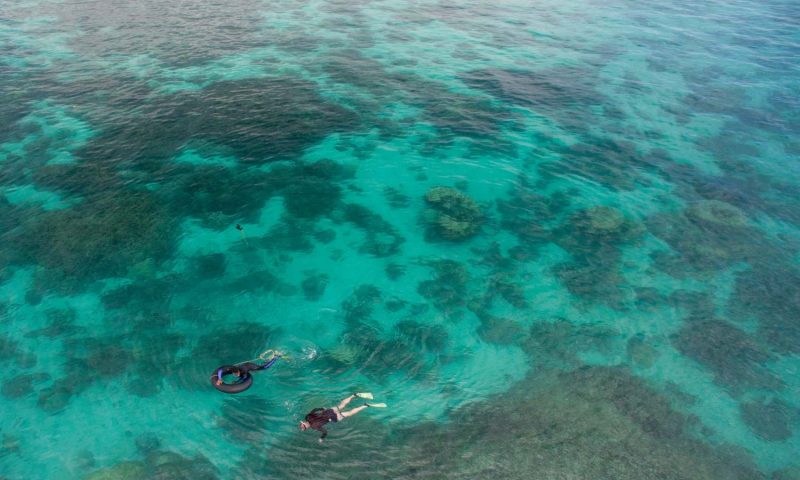 Chumbe Island Coral Park Zanzibar - Tanzania