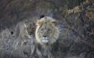Deception Valley Lodge - Botswana