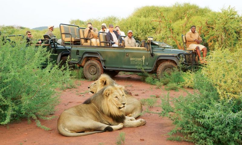 Impodimo Game Lodge, North West - South Africa
