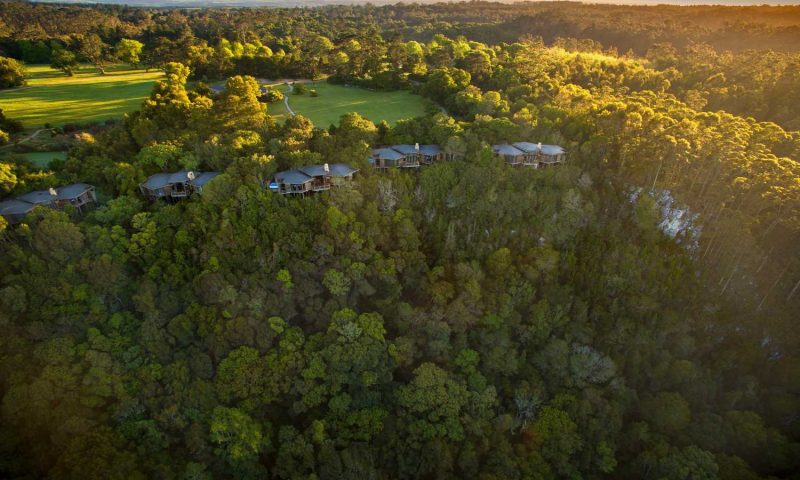 Tsala Treetop Lodge, Western Cape - South Africa