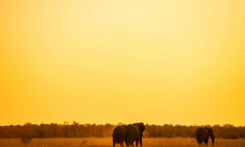 Ghoha Hills Savuti - Botswana