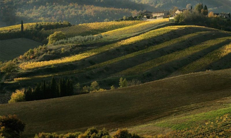 Badia a Coltibuono Gaiole in Chianti, Tuscany - Italy