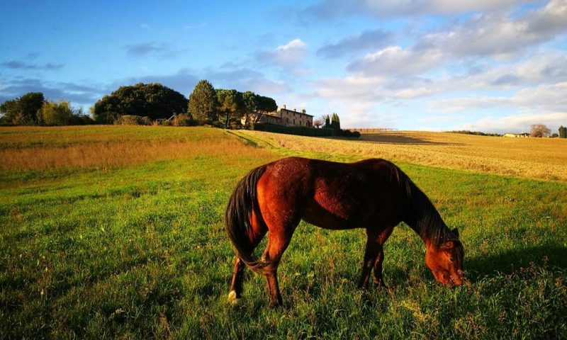 Agriturismo Casale Dei Frontini Todi, Umbria - Italy