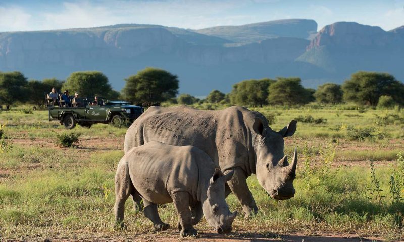 Marataba Safari Lodge, Limpopo - South Africa