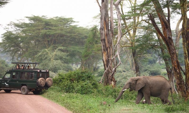 Ngorongoro Crater Lodge - Tanzania